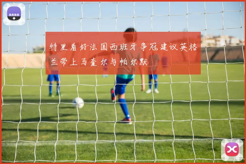 特里看好法国西班牙争冠建议英格兰带上马奎尔与帕尔默