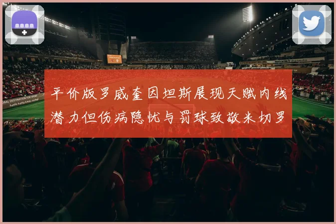 平价版罗威奎因坦斯展现天赋内线潜力但伤病隐忧与罚球致敬米切罗