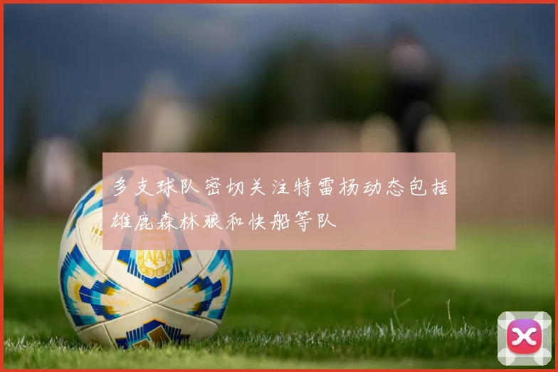 多支球队密切关注特雷杨动态包括雄鹿森林狼和快船等队